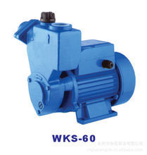 水泵; 水泵配件; 旋涡泵|台州市协佳泵业|东商网
